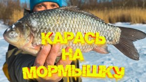 Наловил КАРАСЕЙ на мормышку с мотылём 💪💪💪Нашёл БОЛЬШУЮ стаю рыбы 👍