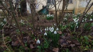 Старые кварталы, новые тропинки. Уют старых дворов Аршинцево.