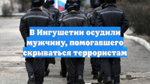 В Ингушетии осудили мужчину, помогавшего скрываться террористам