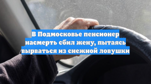 В Подмосковье пенсионер насмерть сбил жену, пытаясь вырваться из снежной ловушки