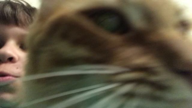 МУРЫШ В КАДРЕ! Я СНЯЛ КОТЁНКА МУРЫШОНКА!