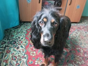 Хочу кушать!