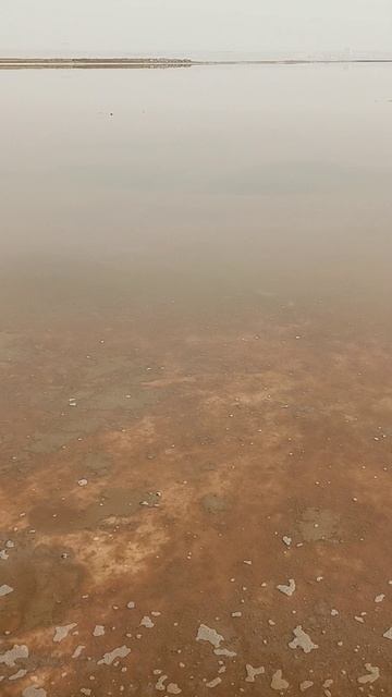 Азербайджан. Розовое озеро Масазыргёль. ноябрь 2925 г.