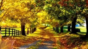 Осенний вальс   Алёна Кравцова