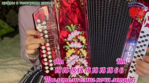 Надежда Кадышева // Подари березка // разбор на гармони по цифрам