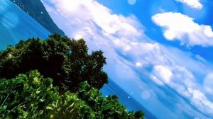 Вау ♥️🌊🏝️🐚