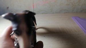 Не поехали😕👍🏻🐶.mp4