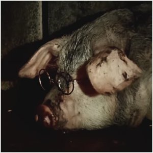 Свинья и очки. Фрагменты из фильма "Двенадцать стульев" 1976 г.