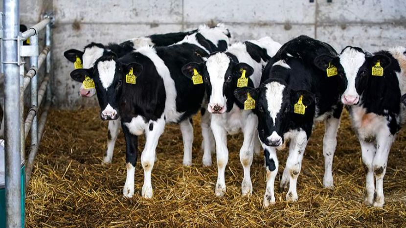 Народные приметы на 18 февраля: что можно и нельзя делать смотреть онлайн