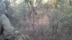 ПиКонь Выживальщика