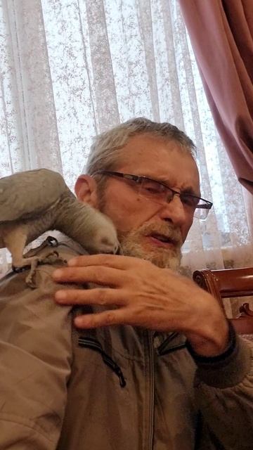 Гостеприимный попугай.