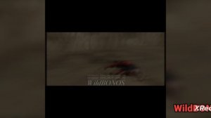 WildCraft арт для цветохвостки_КВ