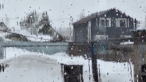 Хочу цыплят. Куры в теплице. А на улице дождь.