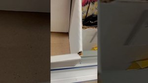 моё видио пасматри патпешися лайки 👍👍👍👍👍👍