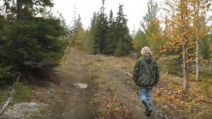 Прогулка по осеннему лесу. Мончегорск. 17.09.24.