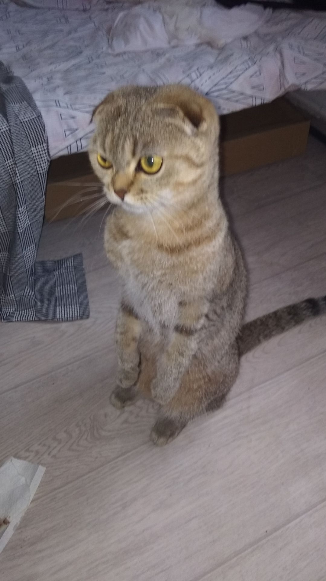 ДОБРОТА СПАСЕТ МИР🤗🤗😘😘😘.!😆 смотреть онлайн