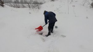 Зима идет,  телята растут .....    #ЖИЗНЬ_В_ДЕРЕВНЕ