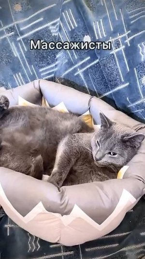 А чего добились вы🤔😹