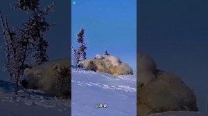 VID_20260218_115819_664.mp4