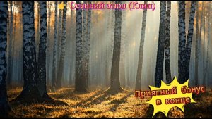 11 Осенний этюд (Клип) 2 Осень, Поэзия, Лирика, Философия, Природа, Ностальгия, Гармония, Рябина