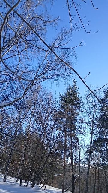 Ещё  и ХОЛОДЕН,  и СЫР ФЕВРАЛЬСКИЙ ВОЗДУХ