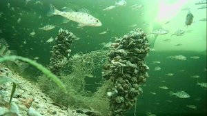 1000009992.mp4Волга гл.2м.18.02.2026г.