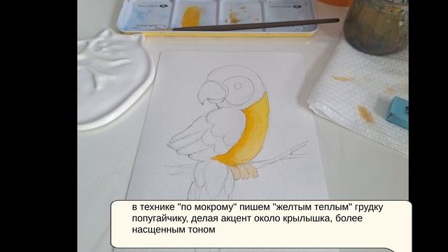 Мастер-класс  преподавателя Коцюбан О.С. 