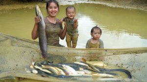 Собираем гигантскую рыбу в пруду, чтобы продать на местном рынке. Жизнь трудяги Дуонг.