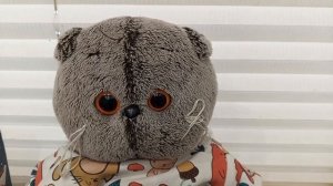 Вискас сделал бумажного Басика