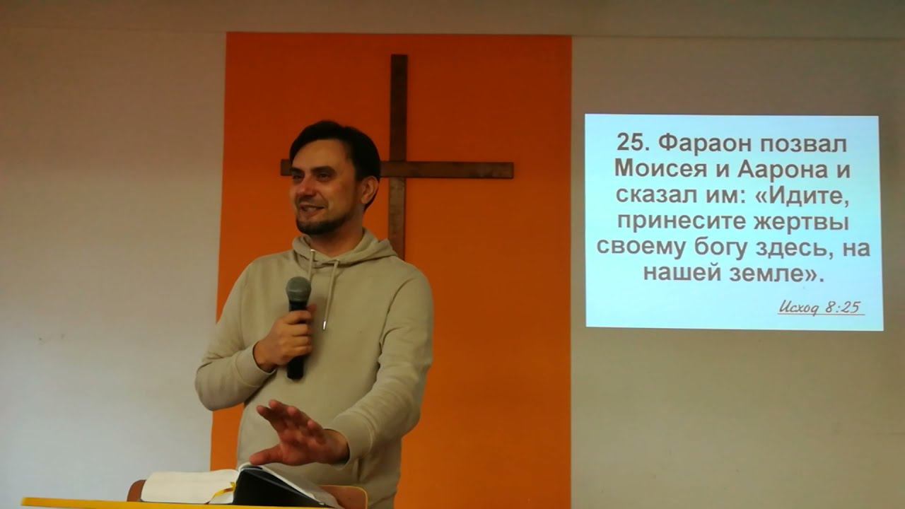 Жабы, мошки и мухи - команда волхвов сходит с дистанции смотреть онлайн
