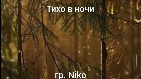 Тихо в ночи гр.Niko
