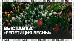 Выставка "Репетиция весны" проходит в 12-й раз в "Аптекарском огороде"