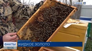 Пчеловоды из Краснодарского края объяснили, почему выросли цены на мед
