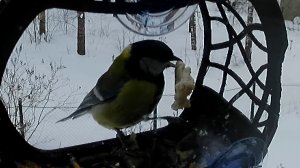 Тихо отковырял и ушел называется нашел.