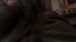 Гарри Поттер