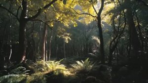 Chill Melodic Liquid Drum Bass 2 Hour Mix