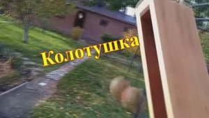 Колотушка - 1