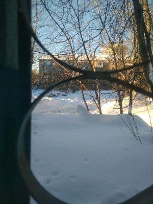 играю на синтезаторе