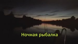 Ночная рыбалка 🐬🚢🔥