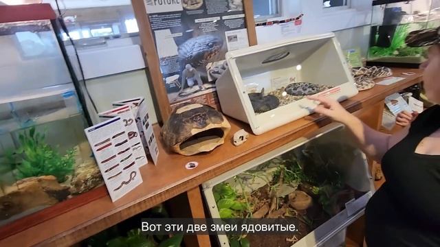 Ep.383 Learning on the Road: Big Family Travels and Nature Center Fun (Russian Subtitles) смотреть онлайн