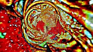 С Масленицей!!! Поздравление с Масленицей! Угощение блинами 3!!!