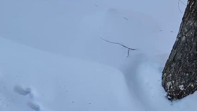 300 ТРИСТА ПОДПИСЧИКОВ НА КАНАЛЕ РУТУБ, БОЛЬШОЕ ВСЕМ СПАСИБО смотреть онлайн