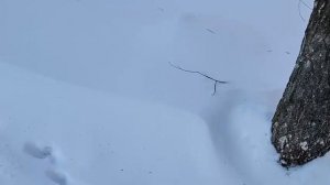 300 ТРИСТА ПОДПИСЧИКОВ НА КАНАЛЕ РУТУБ, БОЛЬШОЕ ВСЕМ СПАСИБО