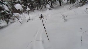 2026.01.02. Крючково. Снег 90 см, t-8°.