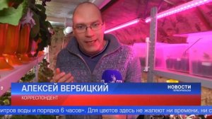 «Скоро цветы нас выселят» – шутит жительница Первоуральска