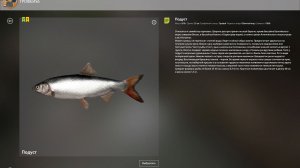 В ПОИСКЕ ТРОФЕЙНОГО ПОДУСТА!!!ВОЛХОВ - РУССКАЯ РЫБАЛКА 4