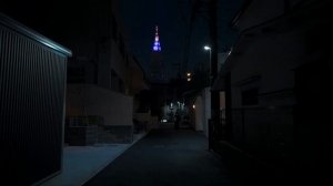 🇯🇵 Токио, Япония - Зимняя ночная прогулка от Сибуи до Синдзюку / 2026
