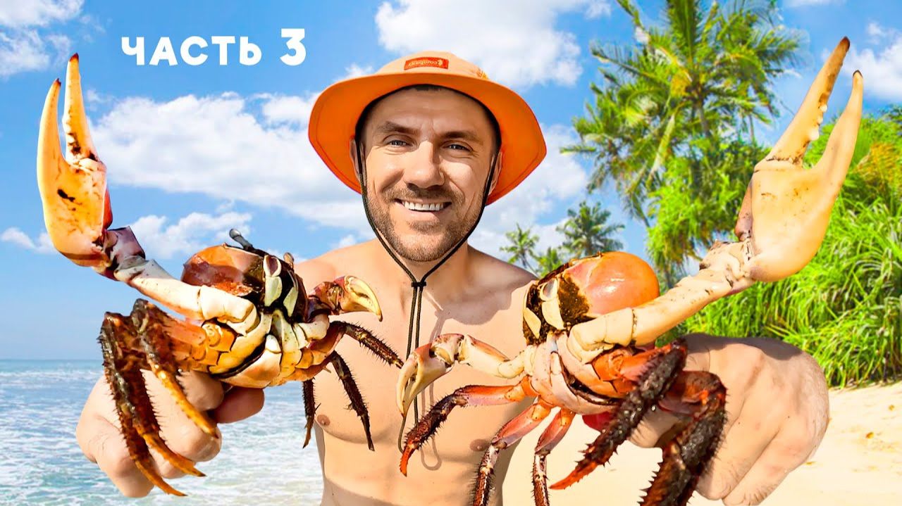 Я остался ЖИТЬ на НЕОБИТАЕМОМ ОСТРОВЕ. ВЫЖИВАНИЕ - ОХОТА НА КРАБОВ [3-Часть] смотреть онлайн