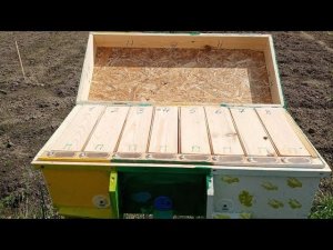 Восьмиместные нуклеусы часть 2