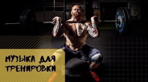 силовая тренировка в зале .